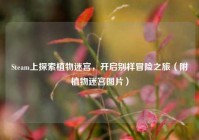 Steam上探索植物迷宫，开启别样冒险之旅（附植物迷宫图片）