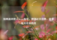 别再追问他人Steam账号，理清社交边界，筑牢账号安全防线