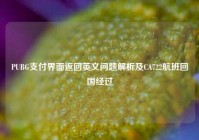PUBG支付界面返回英文问题解析及CA722航班回国经过