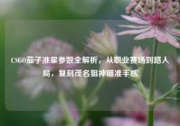 CSGO茄子准星参数全解析，从职业赛场到路人局，复刻茂名狙神瞄准手感