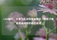 CSGO跑打，从菜鸟乱冲到赛场奇招，野路子里藏着最纯粹的射击浪漫