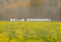 索尼Steam版，游戏领域掀起新风云