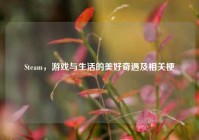 Steam，游戏与生活的美好奇遇及相关梗