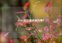 PUBG国际服由谁代理？