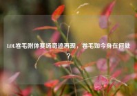 LOL卷毛附体赛场奇迹再现，卷毛如今身在何处？