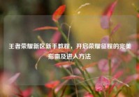 王者荣耀新区新手教程，开启荣耀征程的完美指南及进入方法