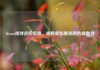 Steam排球进阶指南，领略虚拟赛场的热血魅力
