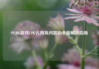 PUBG游戏CPU占用高问题的全面解决指南