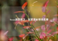 Steam消息匮乏，玩家漫长等待无果