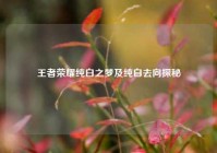 王者荣耀纯白之梦及纯白去向探秘