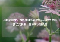 林间云同步，当森林自然节律与Steam数字世界跨次元共振，森林可以联机吗