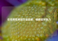 在线观看美国女篮直播，领略篮球魅力