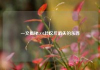 一文揭秘LOL转区后消失的东西