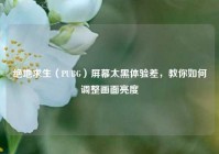 绝地求生（PUBG）屏幕太黑体验差，教你如何调整画面亮度
