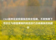 CSGO彼岸花皮肤磨损选购全指南，不同预算下性价比与颜值兼顾的挑选技巧及高磨损选购建议