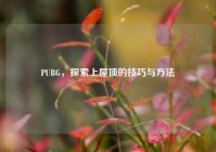 PUBG，探索上屋顶的技巧与方法