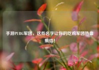 手游PUBG军团，这些名字让你的吃鸡军团热血集结！