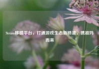Steam移植平台，打通游戏生态新桥梁，携祖玛而来