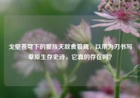 戈壁苍穹下的狼族天敌食狼鹰，以爪为刃书写草原生存史诗，它真的存在吗？