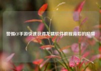 警惕CF手游快速获得龙啸软件教程背后的陷阱