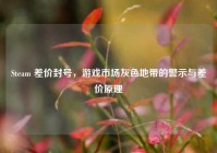 Steam 差价封号，游戏市场灰色地带的警示与差价原理