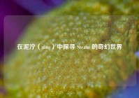 在泥泞（nìng）中探寻 Steam 的奇幻世界