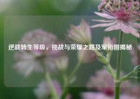 逆战转生等级，挑战与荣耀之路及军衔图揭秘