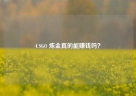 CSGO 炼金真的能赚钱吗？