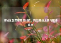 探秘王者荣耀恶灵对抗，刺激竞技之旅与玩法揭秘