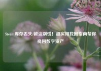 Steam库存丢失/被盗别慌！超实用找回指南帮你挽回数字资产