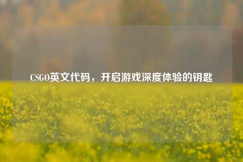 CSGO英文代码,开启游戏深度体验的钥匙