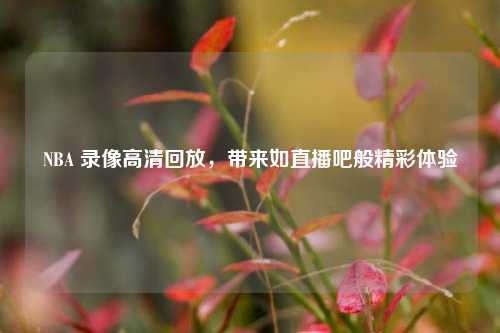 NBA 录像高清回放，带来如直播吧般精彩体验