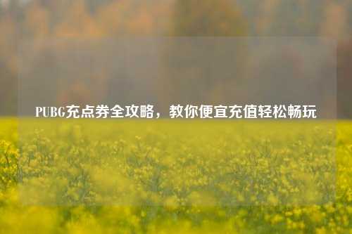 PUBG充点券全攻略,教你便宜充值轻松畅玩