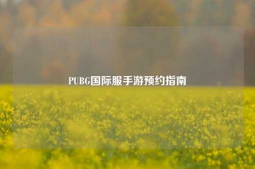PUBG国际服手游预约指南