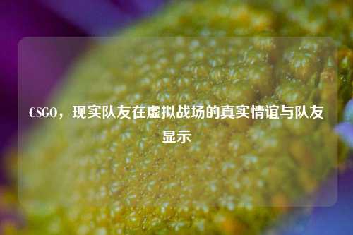 CSGO,现实队友在虚拟战场的真实情谊与队友显示