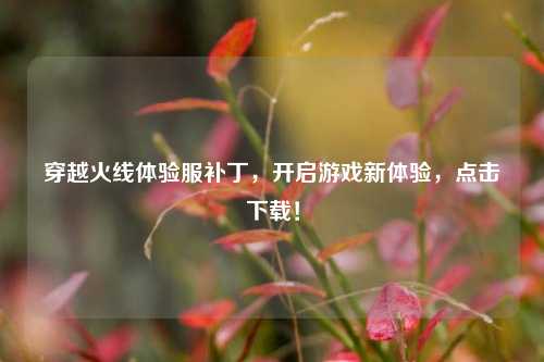 穿越火线体验服补丁，开启游戏新体验，点击下载！