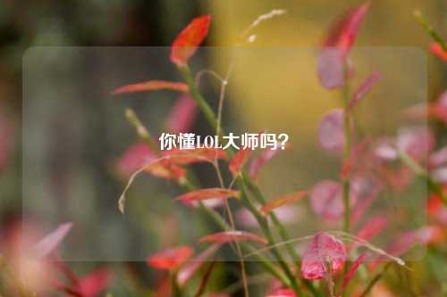 你懂LOL大师吗?