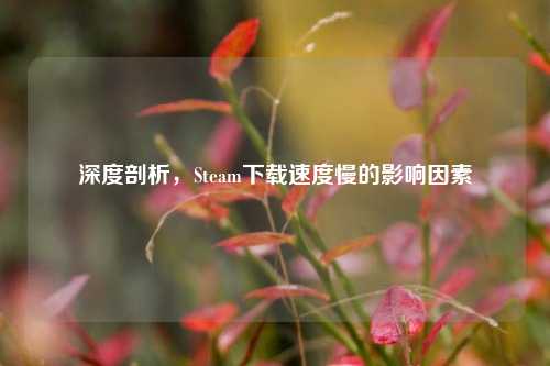深度剖析,Steam下载速度慢的影响因素