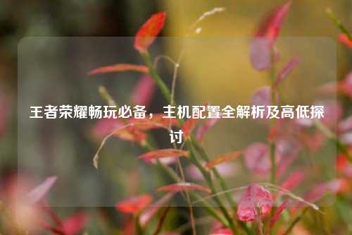 王者荣耀畅玩必备,主机配置全解析及高低探讨
