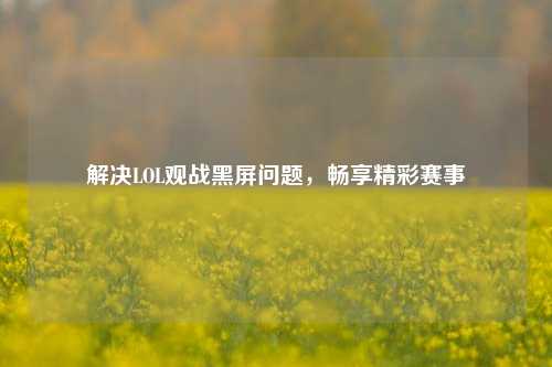 解决LOL观战黑屏问题,畅享精彩赛事