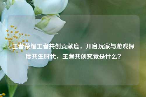 王者荣耀王者共创贡献度,开启玩家与游戏深度共生时代,王者共创究竟是什么?