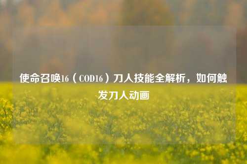 使命召唤16（COD16）刀人技能全解析，如何触发刀人动画