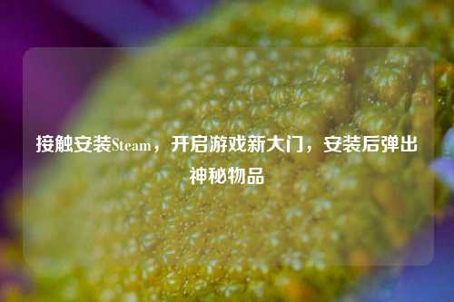 接触安装Steam,开启游戏新大门,安装后弹出神秘物品