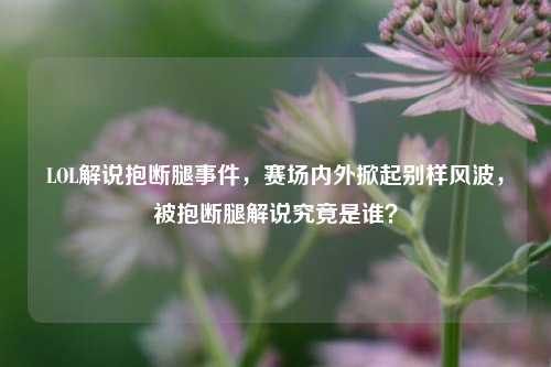 LOL解说抱断腿事件,赛场内外掀起别样风波,被抱断腿解说究竟是谁?
