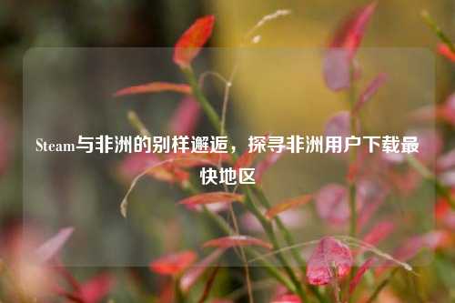 Steam与非洲的别样邂逅,探寻非洲用户下载最快地区