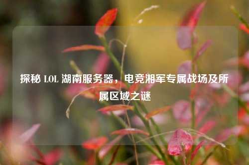 探秘 LOL 湖南服务器,电竞湘军专属战场及所属区域之谜
