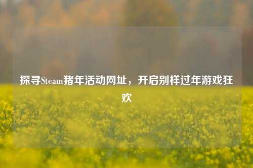 探寻Steam猪年活动网址,开启别样过年游戏狂欢