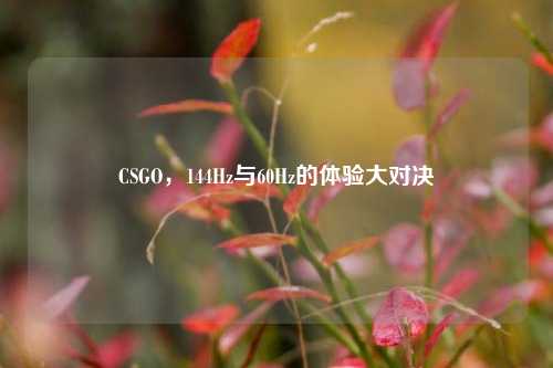 CSGO，144Hz与60Hz的体验大对决