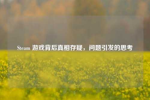Steam 游戏背后真相存疑,问题引发的思考