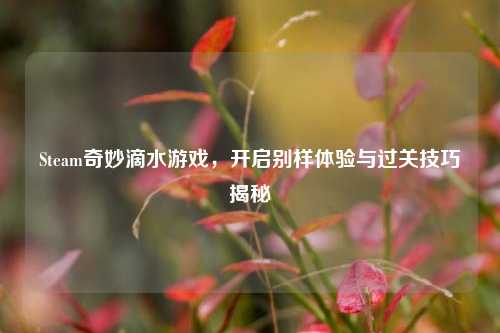 Steam奇妙滴水游戏,开启别样体验与过关技巧揭秘